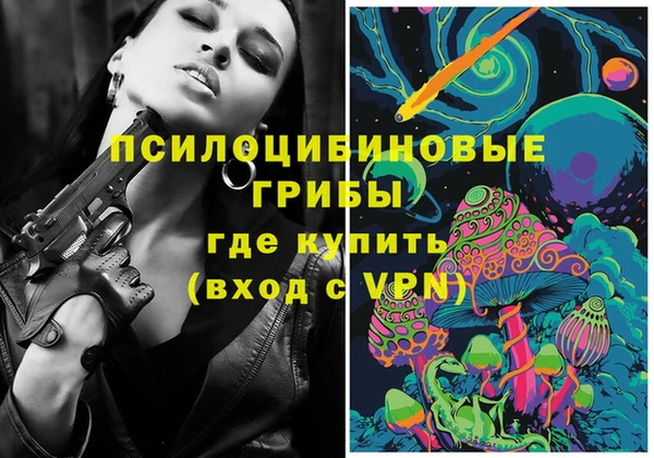 молекула духа Медвежьегорск