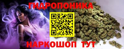 стаф Волжск