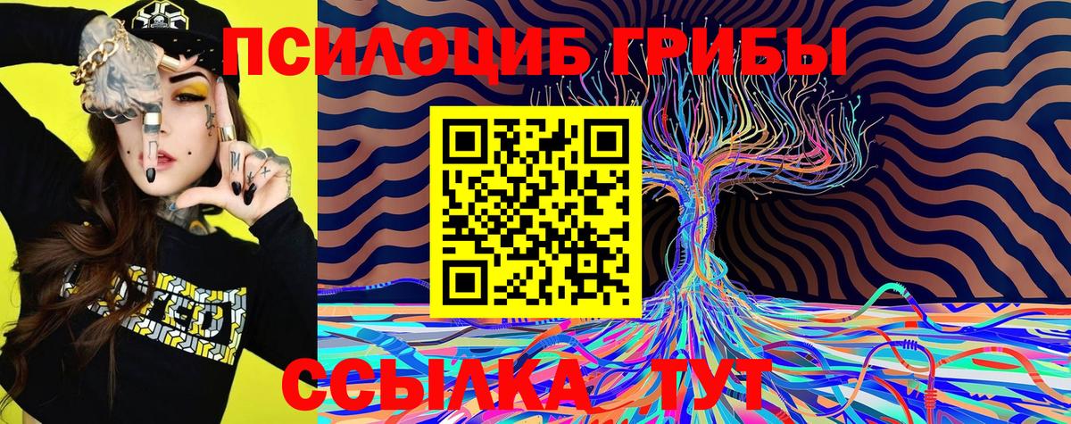 Псилоцибиновые грибы Magic Shrooms  Павлово 