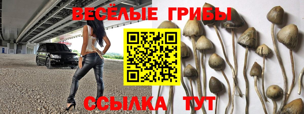 ГАШИШ Павлово